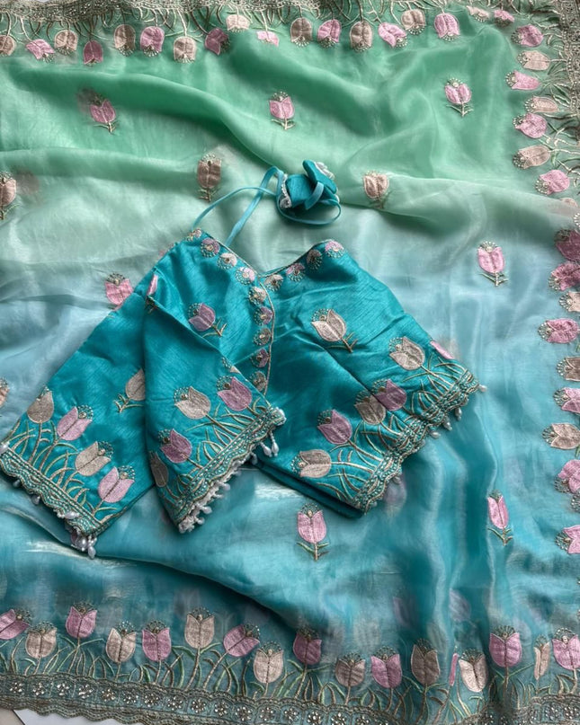 Duel shade classy Embroidery work saree with stitched Blouse