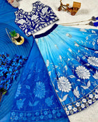 royal blue and sky blue / 2 Years