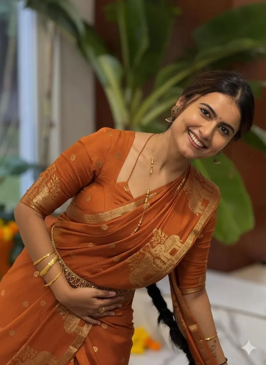 Pure Muslin Silk Saree