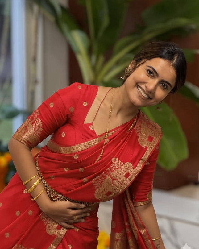 Pure Muslin Silk Saree