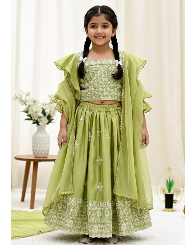 Embroidered  Lahenga Set