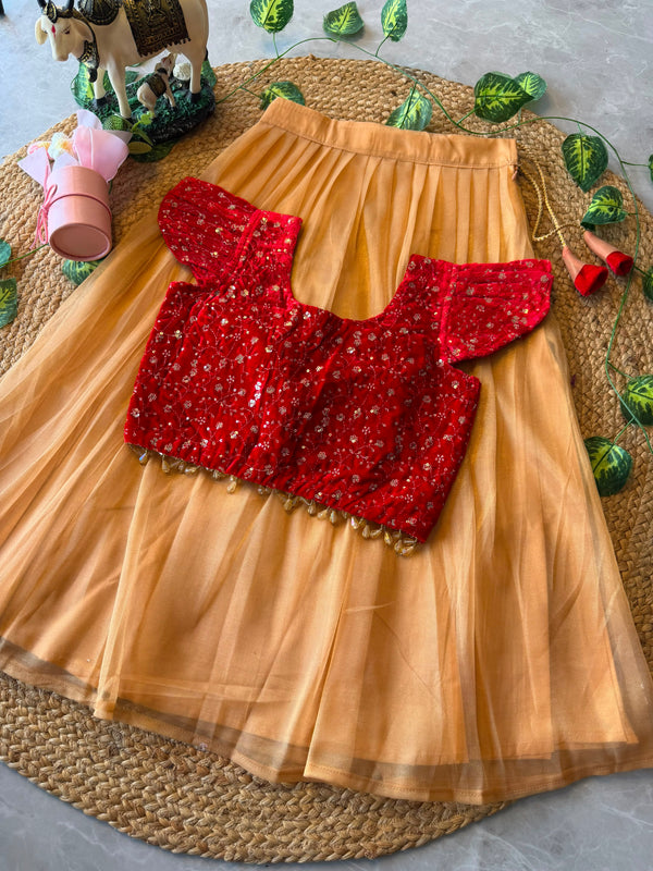 Shiney Tissue Net Kids Lehenga with Velvet Blouse
